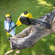 Artificial Turf Installation in Everman, TX