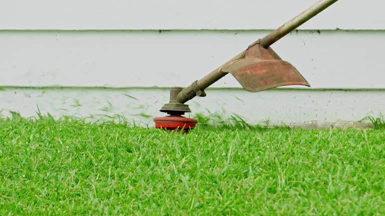 How Our Tree Care Process Works  in  Everman, TX