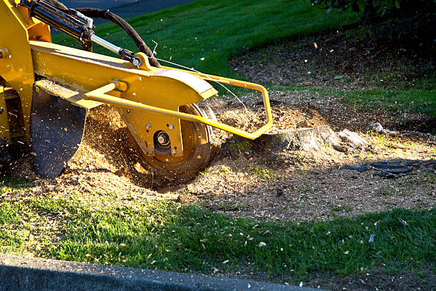 Mulching Services in Everman, TX
